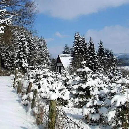 Quiet In Sauerland With Terrace