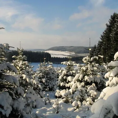 Quiet In Sauerland With Terrace