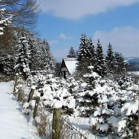 Quiet In Sauerland With Terrace Appartement