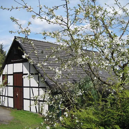 Appartement Quiet In Sauerland With Terrace