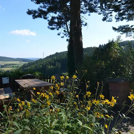 Quiet In Sauerland With Terrace Appartement *