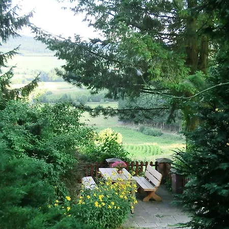 Quiet In Sauerland With Terrace *